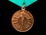 Медаль 10 лет Саурской революции Афганистан, фото №7