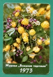 Зовнішторг пластик флора квіти преса журнал, фото №2