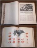 Книга о вкусной и здоровой пище 1955 г, фото №8