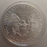 Американский орел 1 долар США 2015 Крокуюча Свобода срібло 999, фото №5