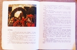 Книжка для детей и юношества "Фарфоровых дел мастер", фото №9