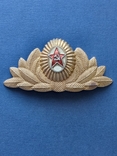 Кокарда парадная ВВС ВДВ СССР, фото №2