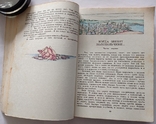 Надія Голосовська «Пригоди Павліка Зоріна». 120 с. (російською мовою). 50 000 примірників, фото №9