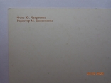 Вітальна листівка "З Новим роком!" (фото Ю. Чверткіна, 1976, 1 млн. шт.), нетто, фото №4
