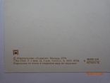Вітальна листівка "З Новим роком!" (фото Ю. Чверткіна, 1976, 1 млн. шт.), нетто, фото №5