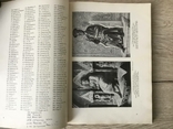 Церковная книга DAS PAPSTBUCH, 1925 г., фото №6