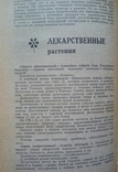 Довідник із заготівлі лікарських рослин. 1983 р., с. 296 стор. 1 - шт., фото №4