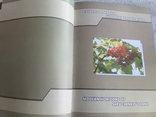 Черкащина - серце України. 1954-2004 ювілейний презентаційно-іміджевий каталог, фото №8