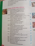 Олександра Глазова, Юрій Кузнецов " Рідна мова 5 клас", photo number 7