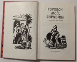 Моє місто, Сірівада (твори прозаїків Андхри). 350 с. (російською мовою)., фото №2