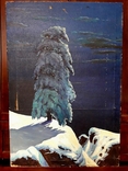 Копия картины " На севере диком" СССР, фото №2