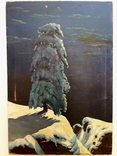 Копия картины " На севере диком" СССР, фото №6