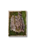 Фито картина на лесную тематику, кора дерева во мхе, композиция из мха и коры фито панно, фото №2