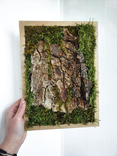Фито картина на лесную тематику, кора дерева во мхе, композиция из мха и коры фито панно, фото №6