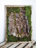 Фито картина на лесную тематику, кора дерева во мхе, композиция из мха и коры фито панно, фото №9