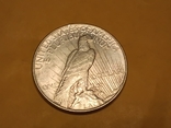 1 долар 1922року, фото №4