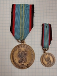 Медаль і мініатюра святого Михаїла в 20 років дивізії Галичина, фото №11