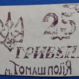 25 гривень 1919 Томашпіль (місто) Вінницька обл. Серія Б 099, фото №10