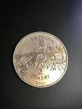 Монета 2000 р. Олесь Гончар 2 грн., фото №4