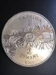 Монета 2000 р. Олесь Гончар 2 грн., фото №5
