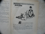 "Золотий птах. Казки народів Югославії" 1966 рік, Дарчий підпис перекладача С. Сакидона, фото №9