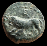 Thrace Kardia 357-309 гг до н.э. (72.4), фото №3