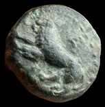 Thrace Kardia 357-309 гг до н.э. (72.4), фото №5