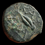 Thrace Kardia 357-309 гг до н.э. (72.4), фото №7
