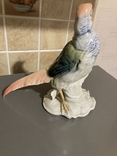 Фарфоровая статуэтка птицы Фазан ,Karl Ens, фото №4