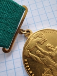 Большая Золотая Медаль ВСХВ За Успехи в Социалистическом Сельськом Хозяйстве Номер#955, фото №5