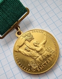 Большая Золотая Медаль ВСХВ За Успехи в Социалистическом Сельськом Хозяйстве Номер#955, фото №6