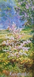 Весняний вальс Картина пейзаж автор Коротков С.В. 50х70 полотно олія, фото №3