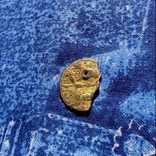 Подражание Византийский монете Константина VIII, фото №2
