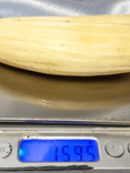 Зуб Кашалота , Вес 159 грамма, фото №6