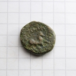 Македонське царство, Александр ІІІ Великий (336-323 до н.е.) - Аполлон / кінь, 3.52г., фото №4