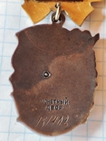 Орден материнская слава 1 2 3 степени и 2 медали материнства, фото №5