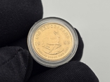 Золотая монета 1/10 oz Крюгерранд 1983 Южная Африка, фото №6
