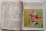 Knitting and Fashion 1980. Album. Martynenko I. P., photo number 2