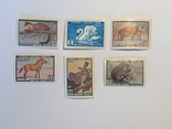 Полная серия марок Фауна СССР 1959г, фото №2