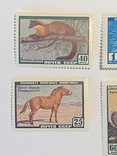 Полная серия марок Фауна СССР 1959г, фото №3