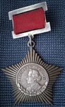 Орден Суворова 3 степени на колодке, копия, фото №2