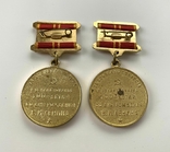 Медали "За воинскую доблесть" и "За доблесный труд", фото №5