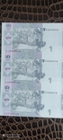  6 гривень 2004 року в маламу аркуші НБУ, фото №6