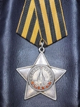 Орден Славы, фото №8