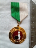 Награда Боулинг Спорт знак Медаль 1971 Швеция Тяж Мет Горячая Эмаль Лента, фото №3