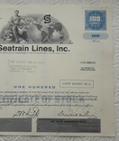 Сертифікат U.S. Stock Logistics Company 1973 р. на 100 акцій, фото №6