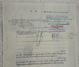 Сертифікат U.S. Stock Logistics Company 1973 р. на 100 акцій, фото №7