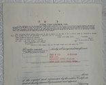 Сертифікат на 20 акцій мережі супермаркетів США 1971 року, фото №7