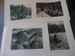 Венгрия 1914/18 гг комплект 12 фото тинто гравюр военных 8, фото №4