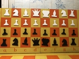 Доска шахматная демонстрационная из СССР, фото №2